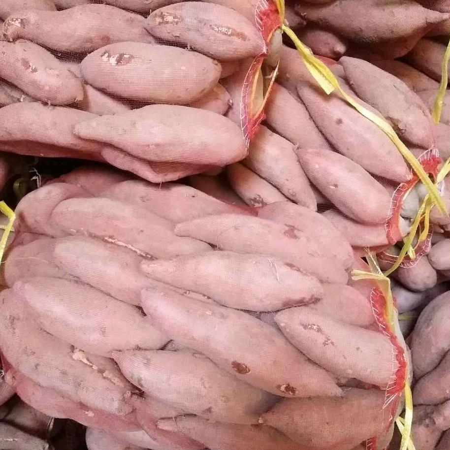英😋