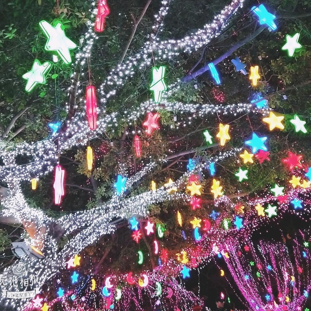 菲菲