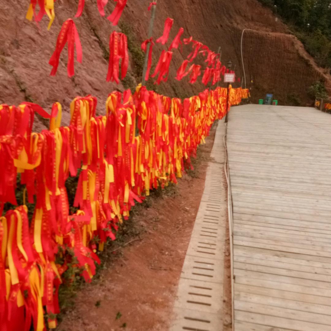 晓陈(橙子🍊)