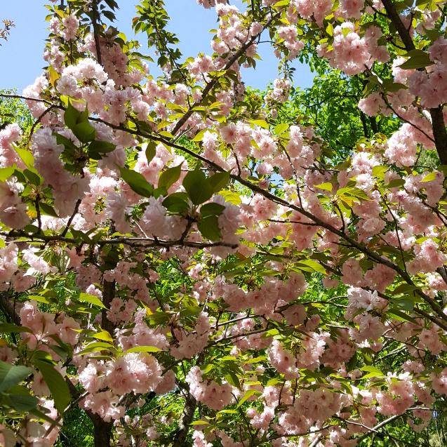 💞💓卟💓轹💓💞