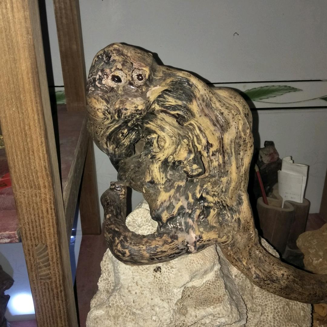 累不死