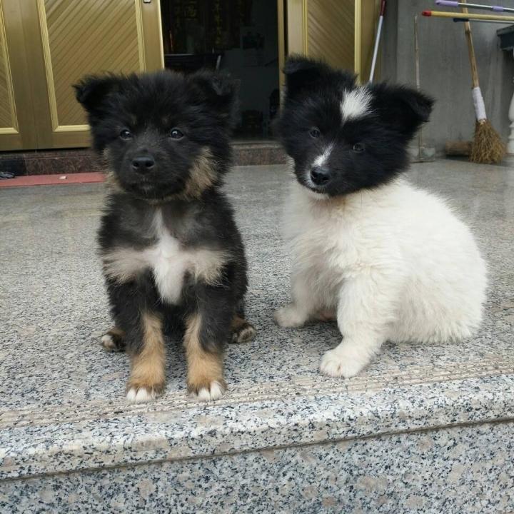 小宜鞋业