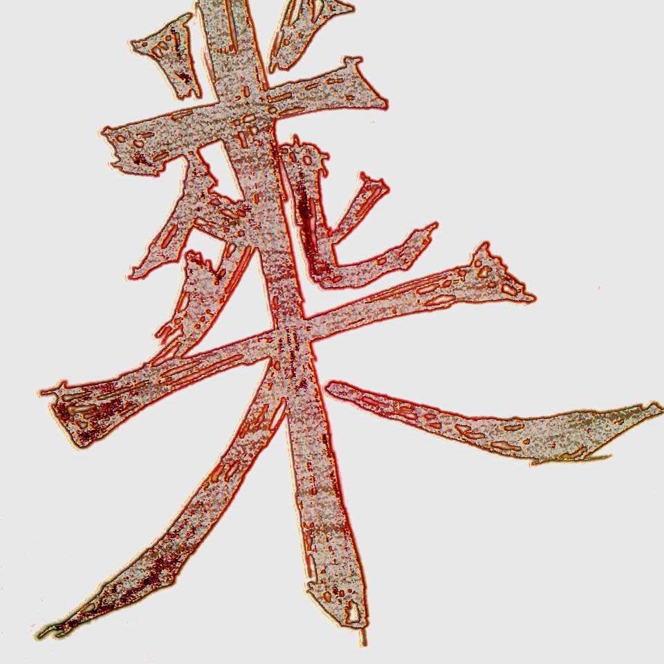 吾笑纳(Li)
