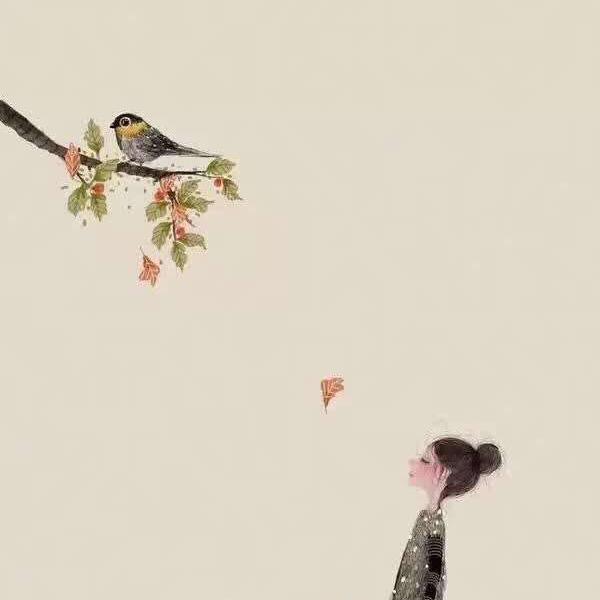 小雅茶事---琳琳