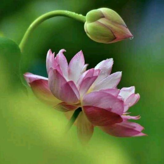 傲雪！  专业修改各类衣服！让你更酷炫！