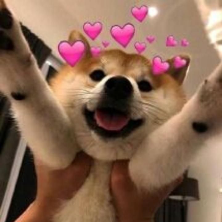 ㅤㅤ　　　　　　　　　ㅤ