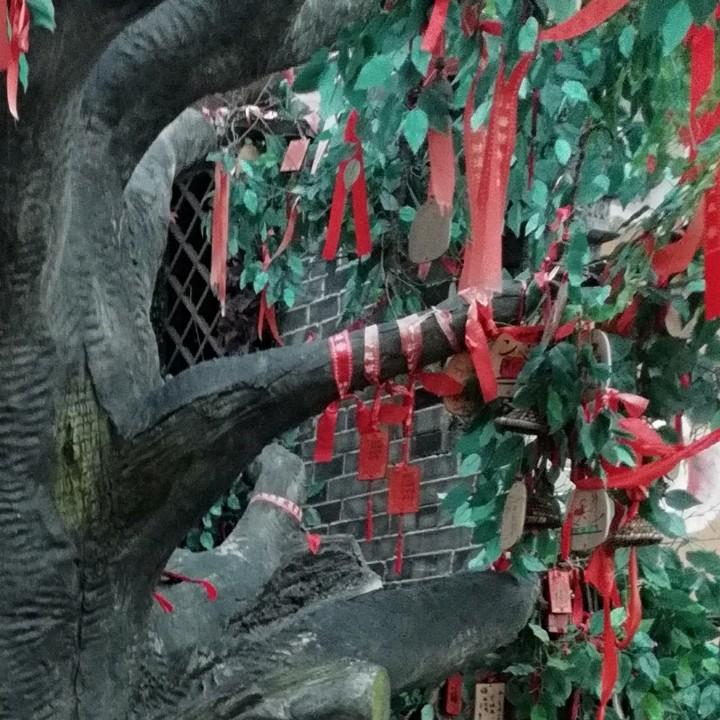 光輝歲月
