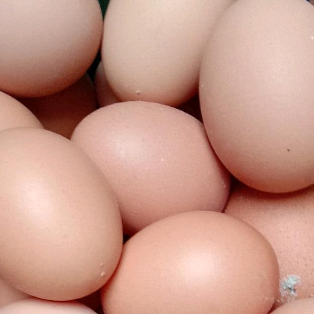 小陈鸡蛋