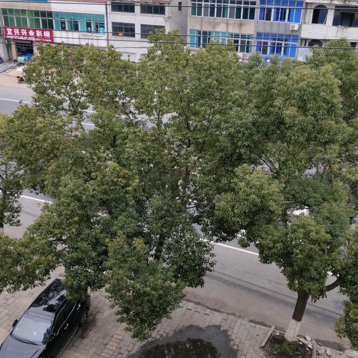 细雨⁵⁸⁸