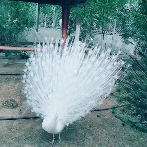 就这样过吧