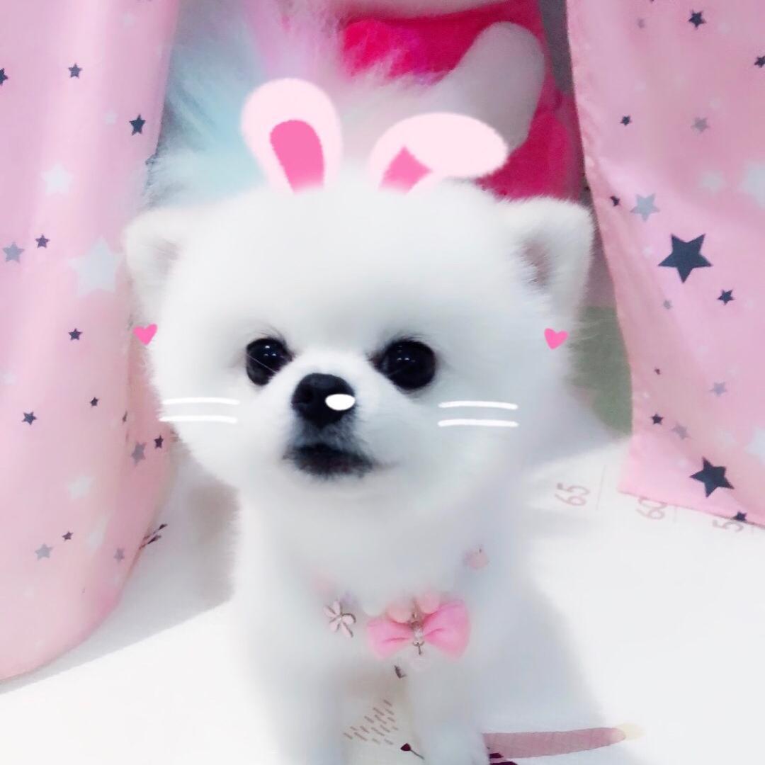 小泡宝🍭