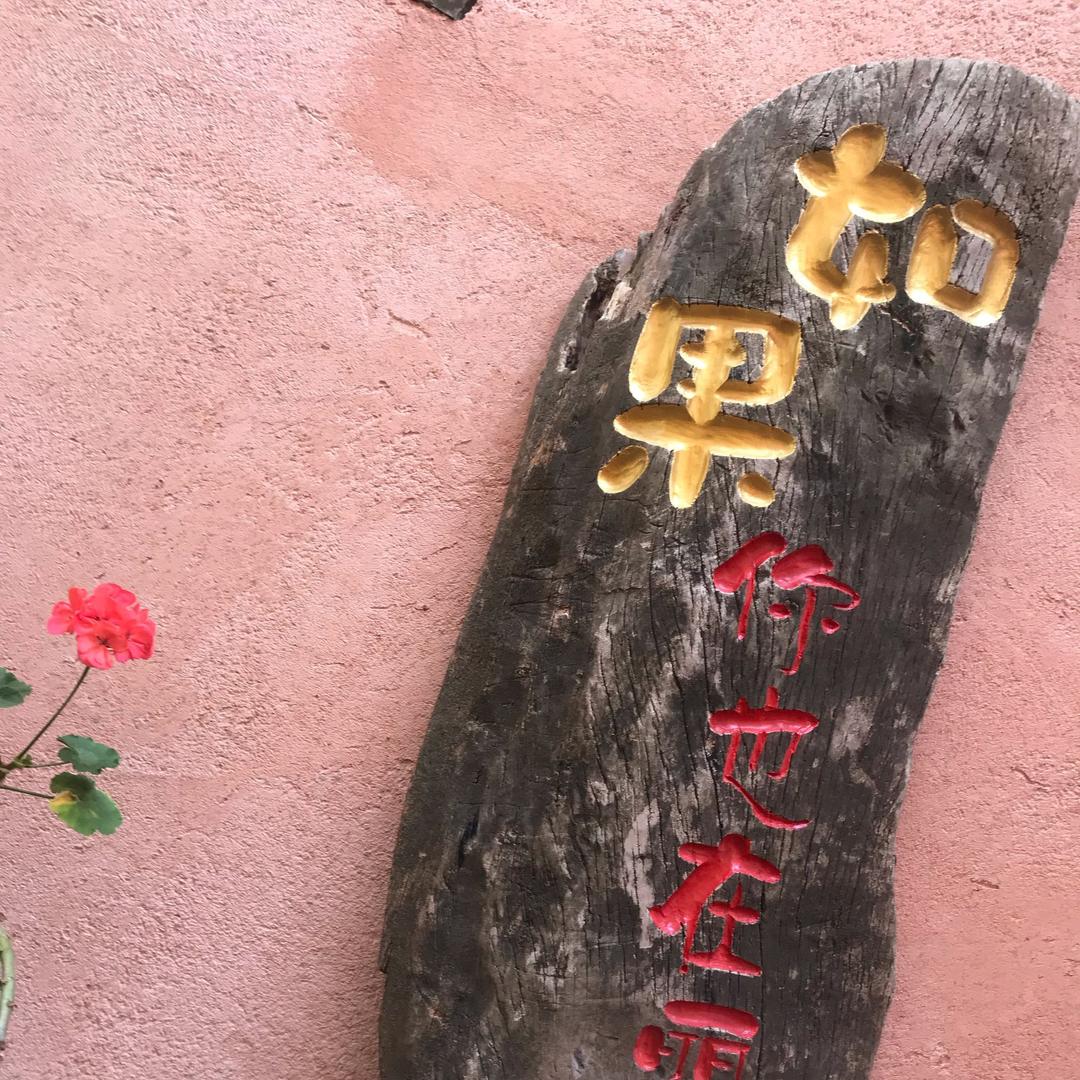 王一丹