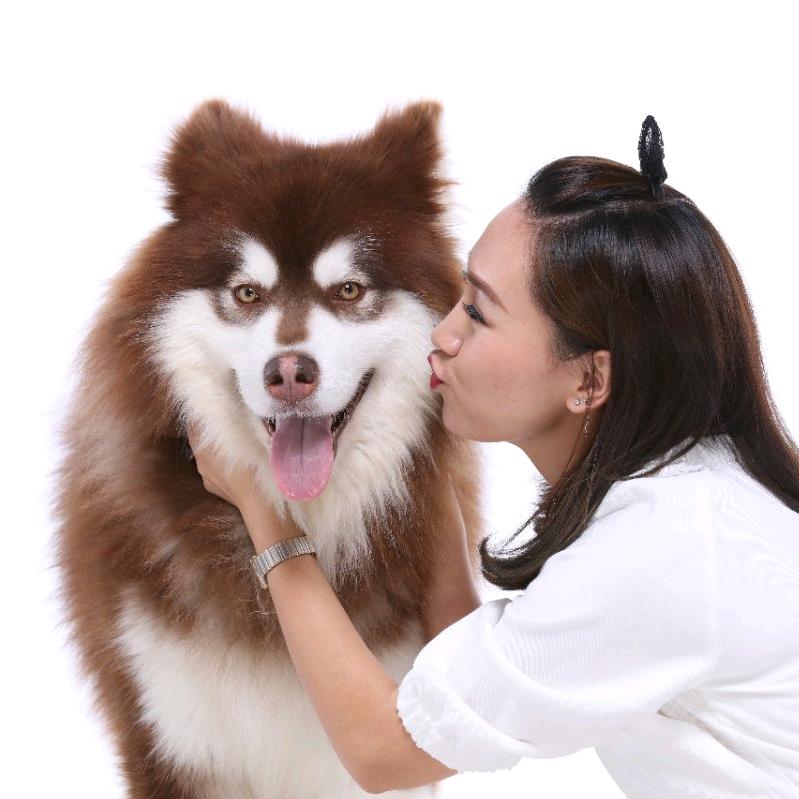 金二七的幸福生活