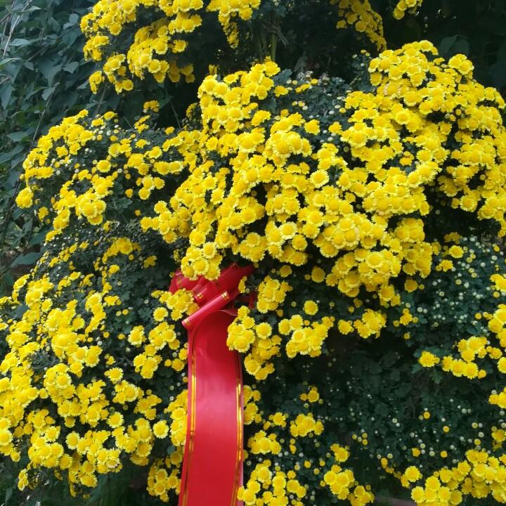 💋@自由自在@💋