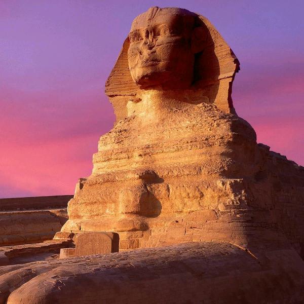 樱桃（冲100粉丝）