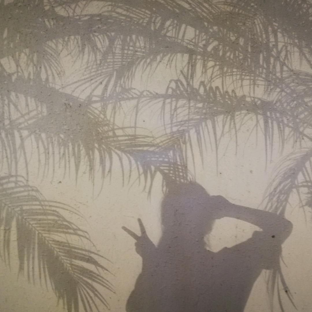 为什么小鱼不会唱歌？