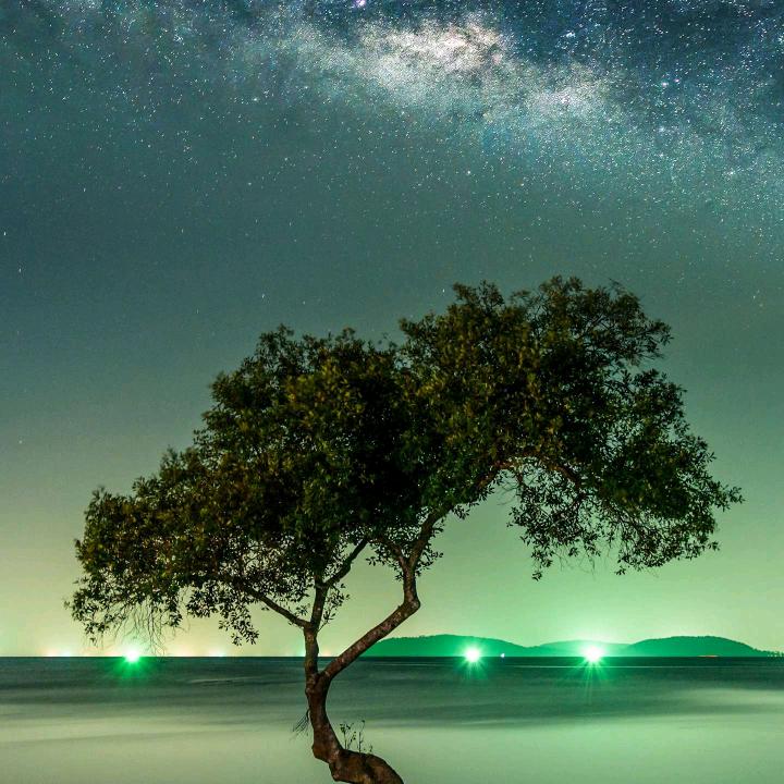杨教练