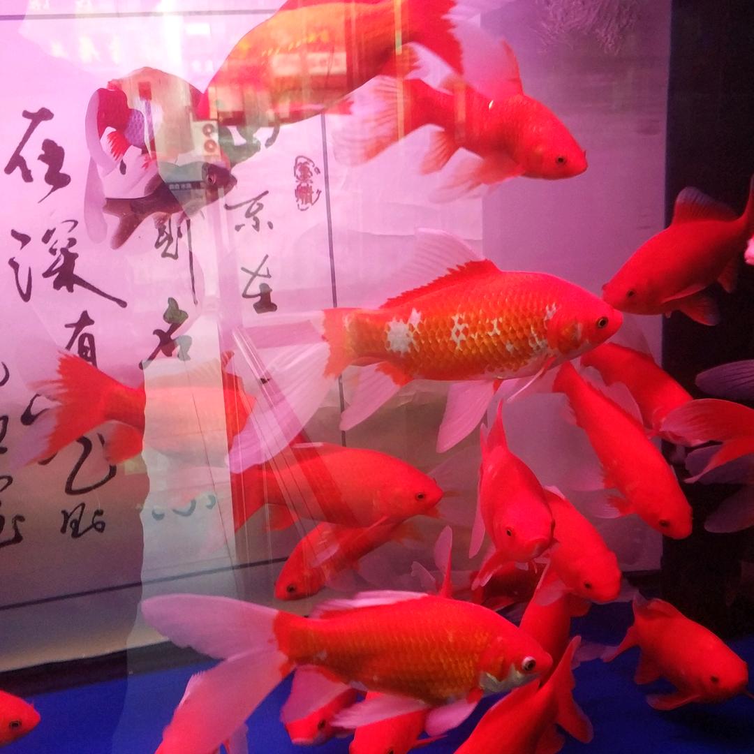 寻找