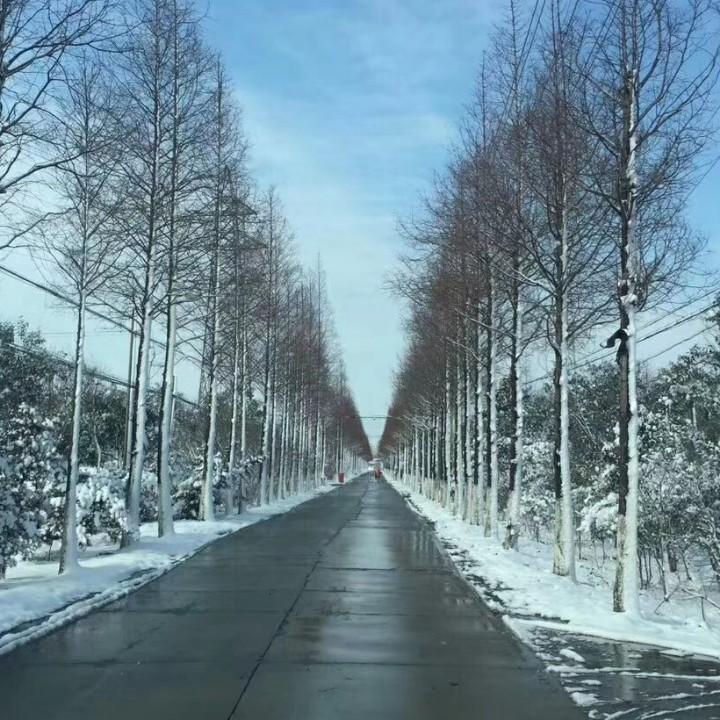 苏州聚宇煌精密