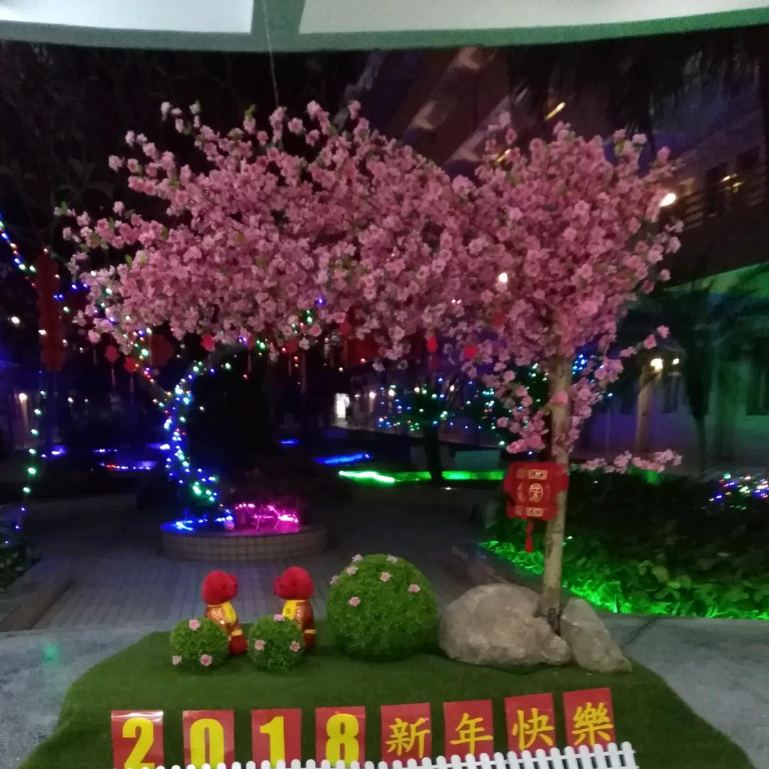 梅🌴姐🌻