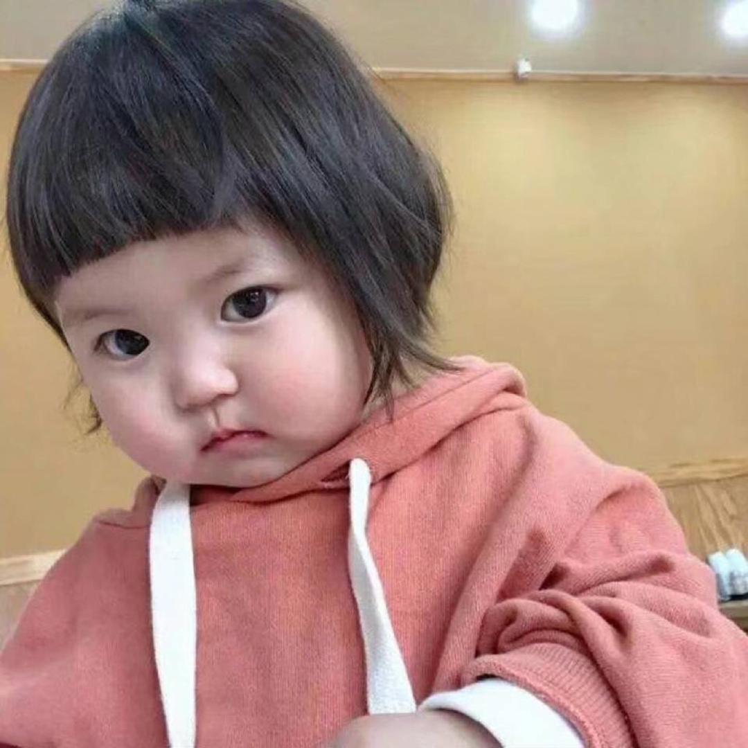 只吃肉的小仙女