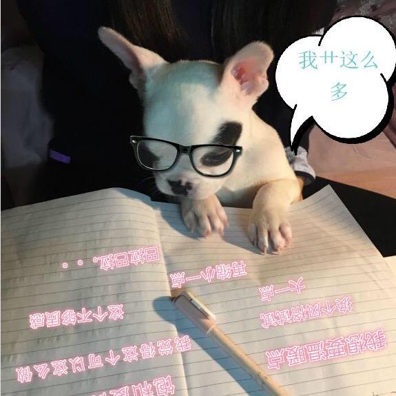 笑笑