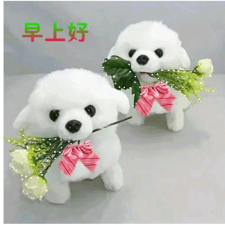 冰玫瑰