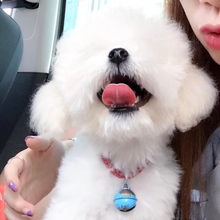 练出肌肉💪好每月日韩搬砖🧱