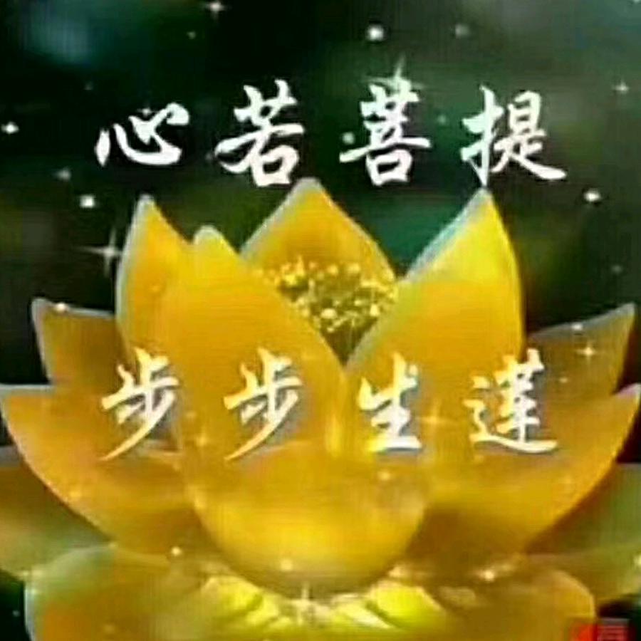 梦中的影子
