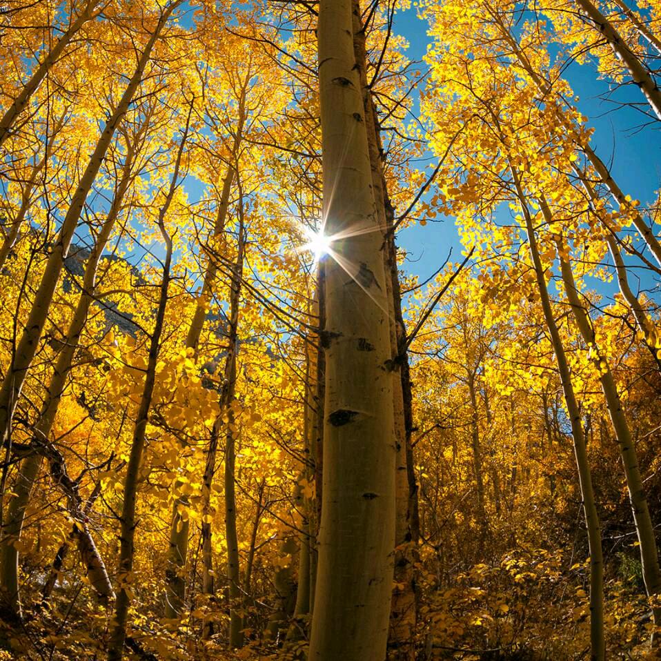 浮生一梦ᵗˢᵏ