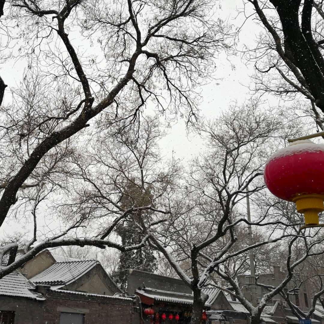 你瞅啥，瞅你咋地