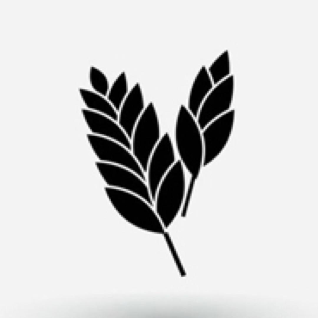 晓麦说电影@抖音