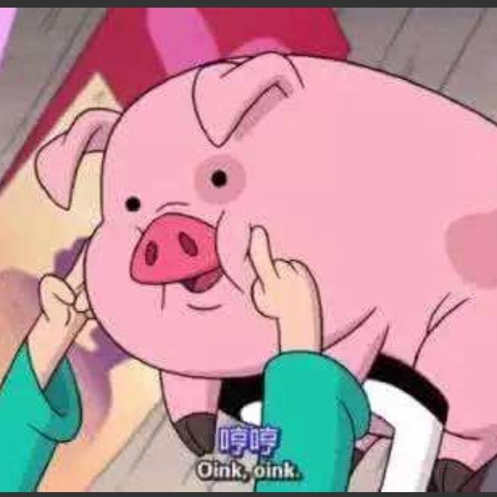 郑郑不拧巴（要瘦二十斤版）