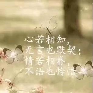 小杜专业真石漆水包水水包砂质感漆