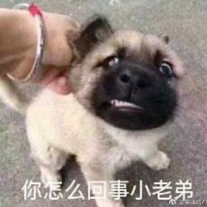 Never cry