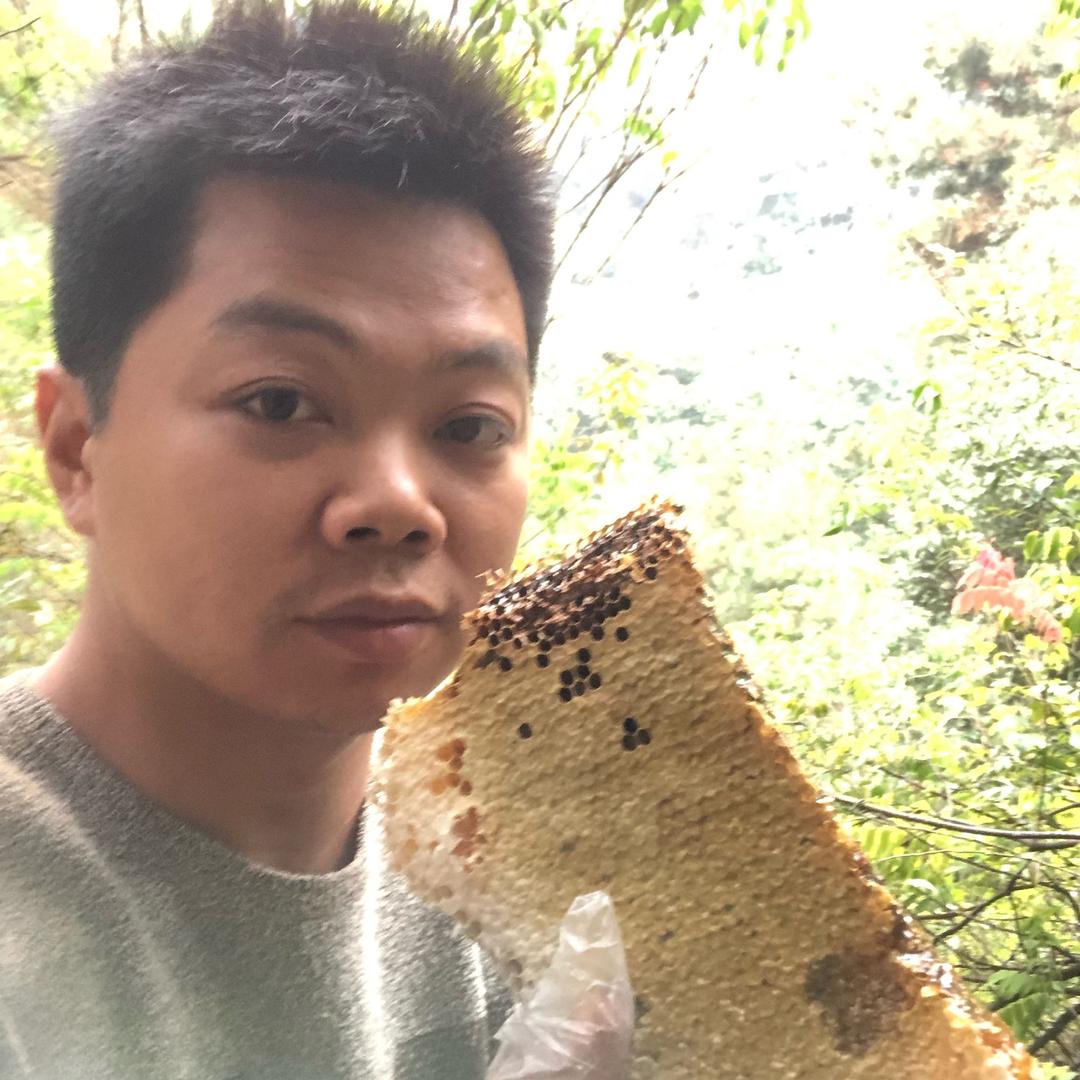 林下蜂业
