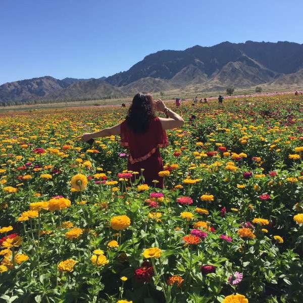 我是养老人（65年冬眠的🐍）