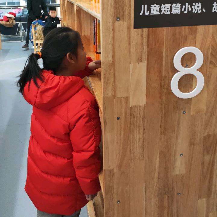 菁灵