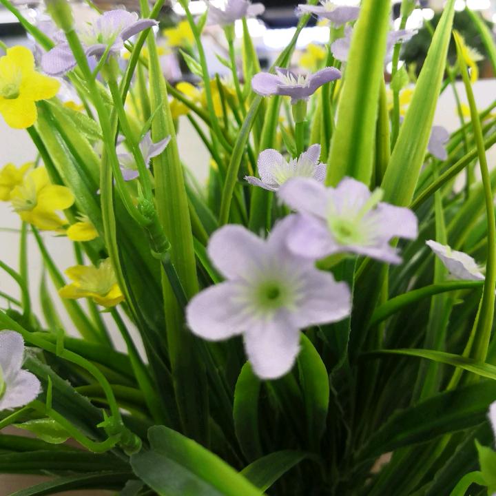 泰州西坝口苏宁洗护顾问师丁爱香