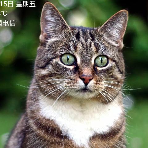 ＃金沙遵义包车网约车 郑师傅