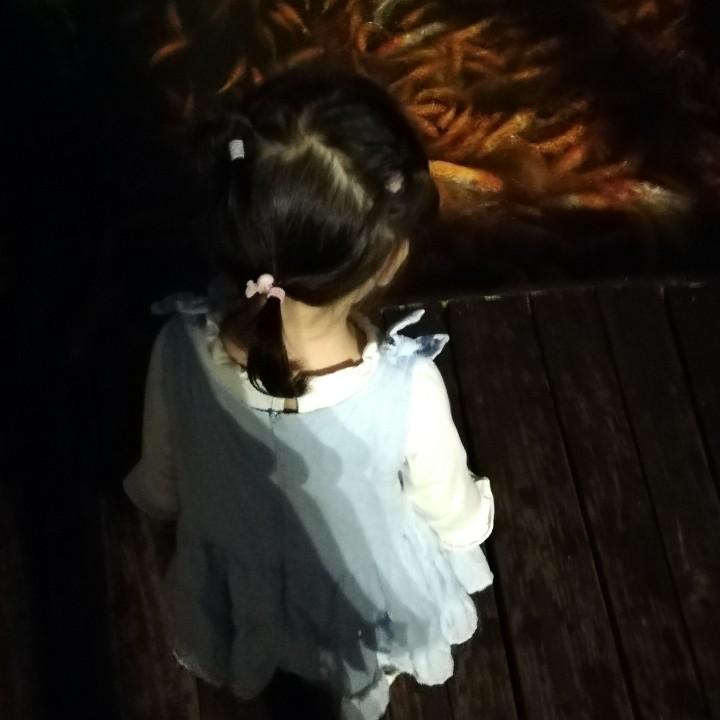 哈小白