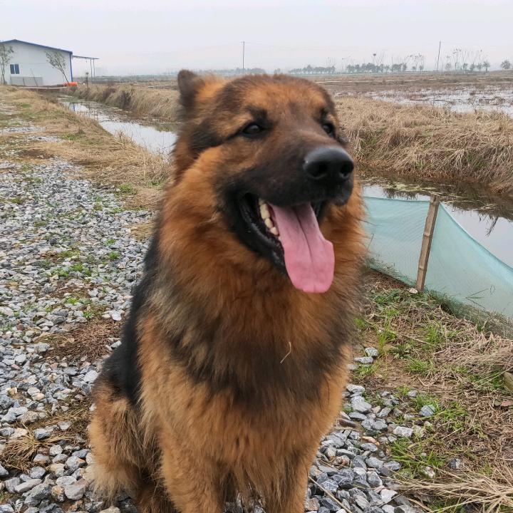 严涛