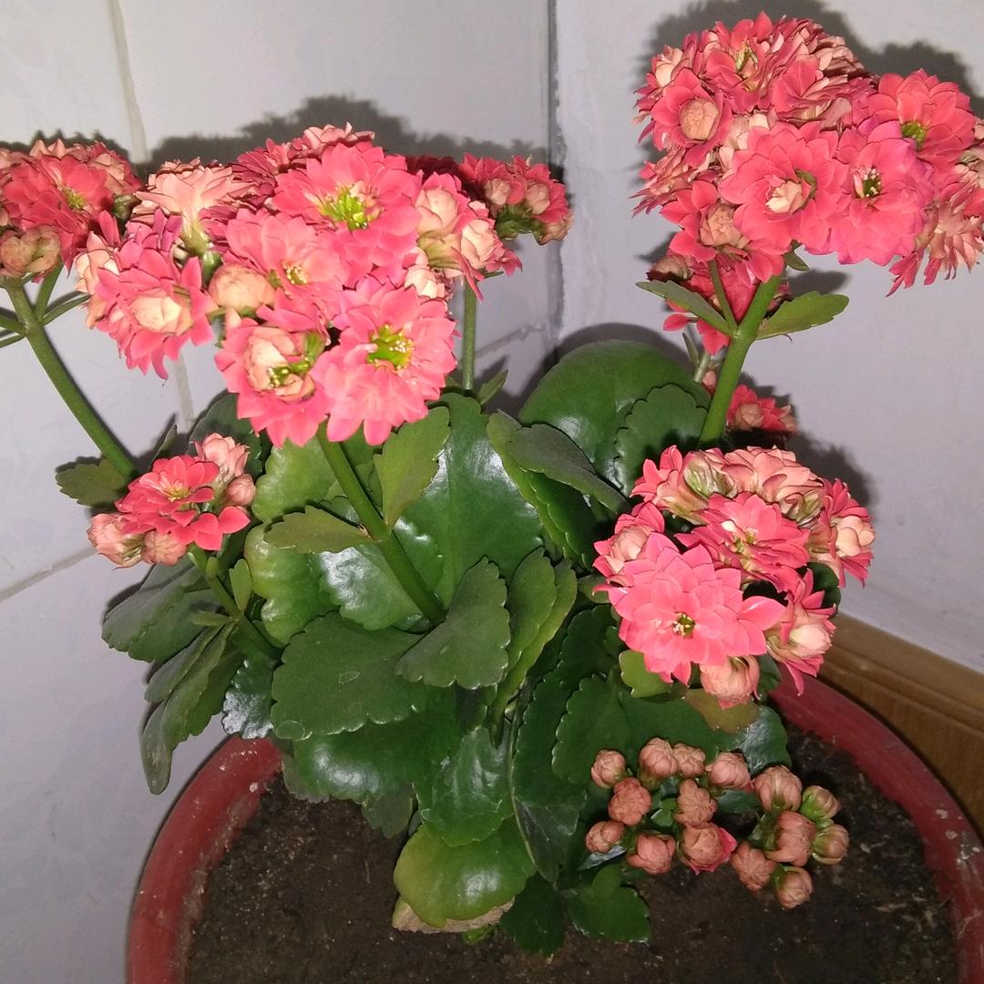 一生只为你等待