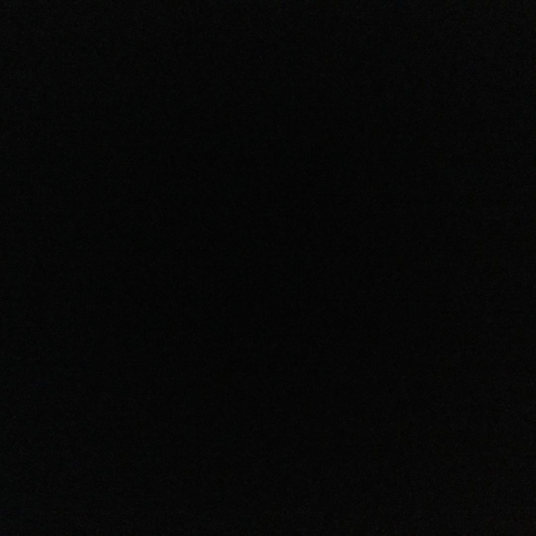 𓆝𓆟𓆜𓆞