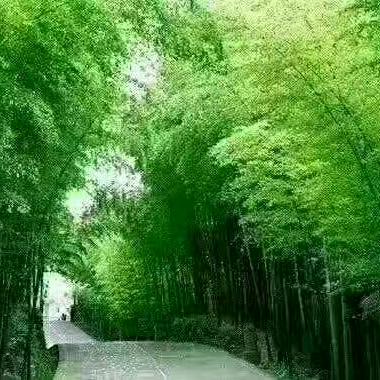 金生有丽