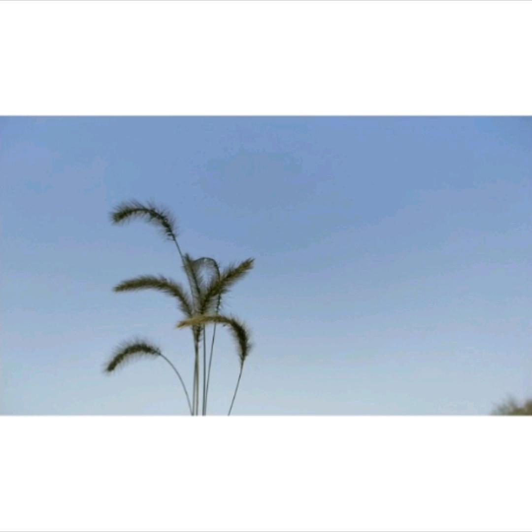 刻字陈大湿