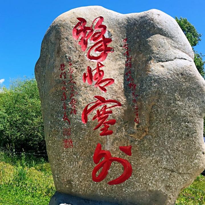 天山派大师姐