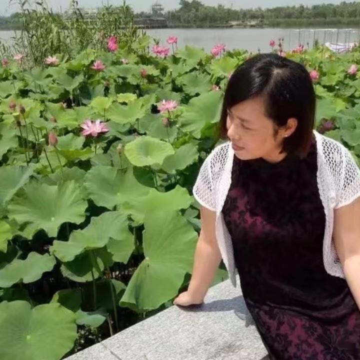 绿绮余音
