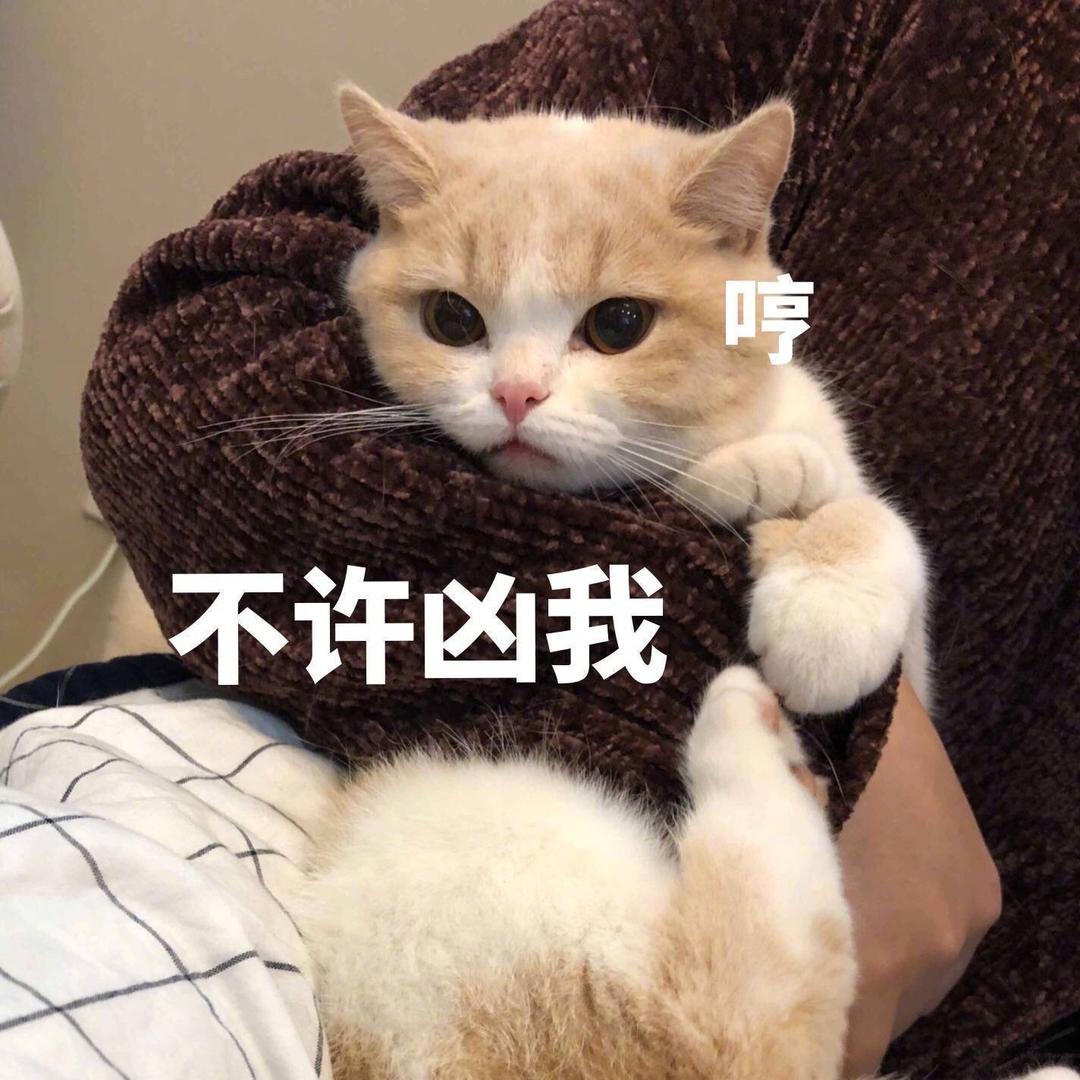 麋鹿只身孤立