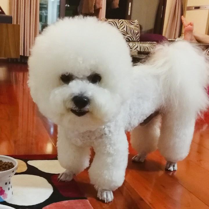 馒头